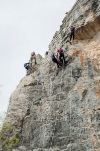 La palestra